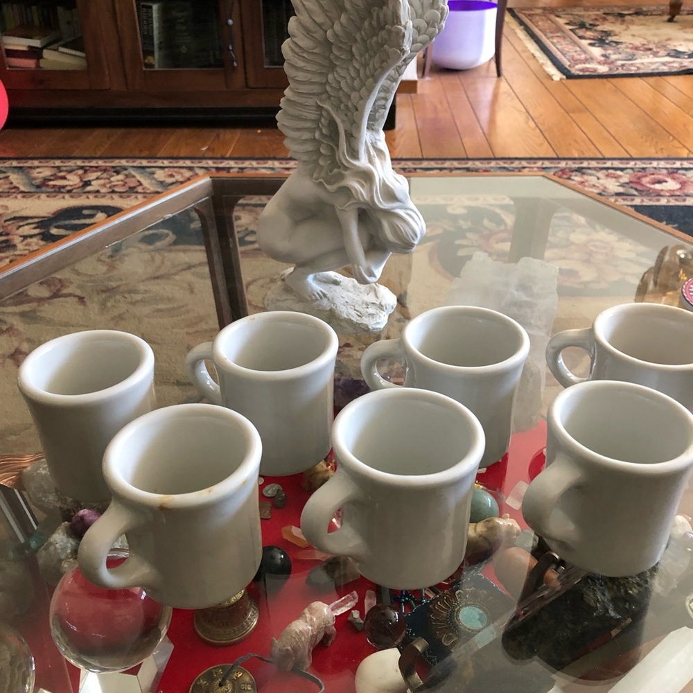 Heavy duty Tepco USA China dinner mugs